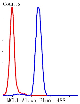 Flow cytometric analysis of Jurkat lysate probed with MCL1 (1A11) Monoclonal Antibody (bsm-52357R) at 1:50 dilution (red) compared with an unlabeled control (cells without incubation with primary antibody; black).