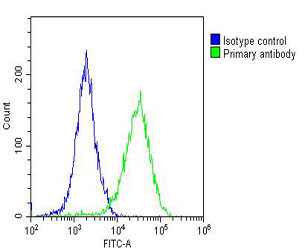 Flow cytometric analysis of A549 cells with ALDH1A1 (2C2) Monoclonal Antibody (bsm-51032M) at 1:25 dilution (green) compared with an Isotype control (blue). The cells were fixed with 2% paraformaldehyde (10 min) and then permeabilized with 90% methanol for 10 min. The cells were then incubated in 2% BSA to block non-specific protein-protein interactions. Primary antibody incubation was performed for 60 min at 37ºC.