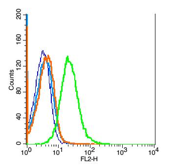 Mouse Spleen Cells were fixed with 2% PFA (10min at room temperature) and then permeabilized with 90% ice-cold methanol for 30min on ice. The cells were then incubated in 2% BSA + 10% goat serum to block non-specific protein-protein interactions for 15 min at room temperature. Cells were stained with IL-22BP/IL22RA2 Polyclonal Antibody, Unconjugated (bs-2625R) at 1:200 for 30 min at room temperature. The secondary antibody, Goat anti-rabbit IgG-PE, was used for 40 min at room temperature. Primary Antibody staining (green) is compared to unstained cells (dark blue), secondary only (light blue) and isotype control (orange).