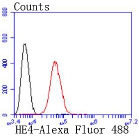 Flow cytometric analysis of sw480 cells with HE4 (8C3) Monoclonal Antibody (bsm-52840R) at a 1:50 dilution (red) compared with an unlabeled control (cells without incubation with primary antibody; black).