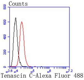 Flow cytometric analysis of SH-SY-5Y cells with Cathepsin D (2G4) Monoclonal Antibody (bsm-52429R) at a 1:50 dilution (red) compared with an unlabeled control (cells without incubation with primary antibody; black).