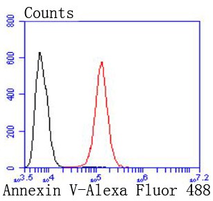 Flow cytometric analysis of HeLa cells with Annexin V (6C7) Monoclonal Antibody (bsm-52841R) at a 1:50 dilution (red) compared with an unlabeled control (cells without incubation with primary antibody; black).