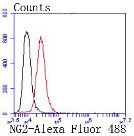 Flow cytometric analysis of shg-44 cells with NG2 (3A8) Monoclonal Antibody (bsm-52891R) at a 1:50 dilution (red) compared with an unlabeled control (cells without incubation with primary antibody; black).