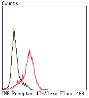 Flow cytometric analysis of HL-60 cells with TNF Receptor II (7D3) Monoclonal Antibody (bsm-52938R) at 1:50 dilution (red) compared with an unlabeled control (cells without incubation with primary antibody; black)