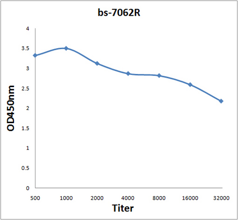 Antigen: bs-7062P, 0.2ug/100ul \nPrimary: Antiserum, 1:500, 1:1000, 1:2000, 1:4000, 1:8000, 1:16000, 1:32000; \nSecondary: HRP conjugated Goat-Anti-Rabbit IgG(bs-0295G-HRP) at 1: 5000;\nTMB staining;\nRead the data in MicroplateReader by 450