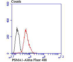 Flow cytometric analysis of HepG2 cells with PSMA1 (10A2) Monoclonal Antibody (bsm-54170R) 1:100 dilution (red) compared with an unlabeled control (cells without incubation with primary antibody; black).