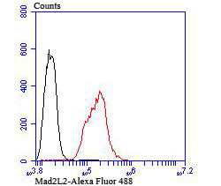 Flow cytometric analysis of Hela cells with Mad2L2 (1C4) Monoclonal Antibody (bsm-54188R) 1:100 dilution (red) compared with an unlabeled control (cells without incubation with primary antibody; black).