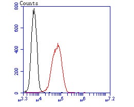 Flow cytometric analysis of Hela cells with Citrate synthase (3C3) Monoclonal Antibody (bsm-54190R) 1:50 dilution (red) compared with an unlabeled control (cells without incubation with primary antibody; black).