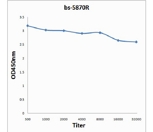 Antigen: bs-5870P, 0.2ug/100ul \nPrimary: Antiserum, 1:500, 1:1000, 1:2000, 1:4000, 1:8000, 1:16000, 1:32000; \nSecondary: HRP conjugated Goat-Anti-Rabbit IgG(bs-0295G-HRP) at 1: 5000;\nTMB staining;\nRead the data in MicroplateReader by 450