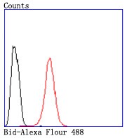 Flow cytometric analysis of Hela cells with Bid (9C9) Monoclonal Antibody (bsm-52967R) at a 1:50 dilution (red) compared with an unlabeled control (cells without incubation with primary antibody; black).