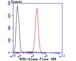 Flow cytometric analysis of Jurkat cells with NCK1 (7C2) Monoclonal Antibody (bsm-54207R) 1:50 dilution (red) compared with an unlabeled control (cells without incubation with primary antibody; black).