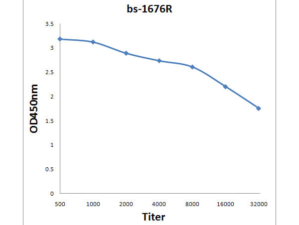 Antigen: bs-1676P, 0.2ug/100ul \nPrimary: Antiserum, 1:500, 1:1000, 1:2000, 1:4000, 1:8000, 1:16000, 1:32000; \nSecondary: HRP conjugated Goat-Anti-Rabbit IgG(bs-0295G-HRP) at 1: 5000;\nTMB(C-0024) staining;\nRead the data in MicroplateReader by 450