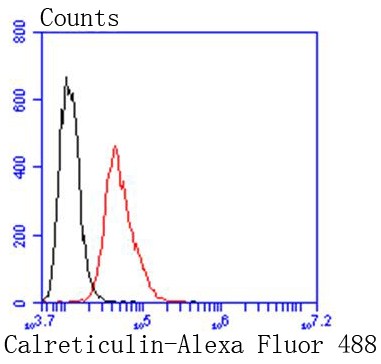 Flow cytometric analysis of Hela cells with Calreticulin (3D1) Monoclonal Antibody (bsm-52436R) at a 1:50 dilution (red) compared with an unlabeled control (cells without incubation with primary antibody; black). Flow cytometric analysis of Hela cells with Calreticulin (3D1) Monoclonal Antibody (bsm-52436R) at a 1:50 dilution (red) compared with an unlabeled control (cells without incubation with primary antibody; black).