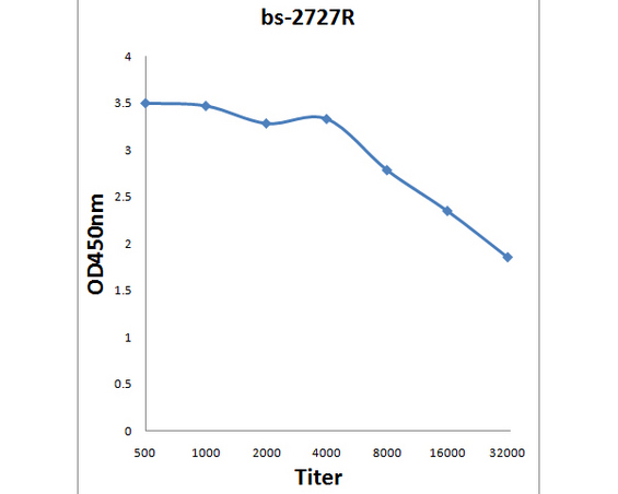Antigen: bs-2727P, 0.2ug/100ul \nPrimary: Antiserum, 1:500, 1:1000, 1:2000, 1:4000, 1:8000, 1:16000, 1:32000; \nSecondary: HRP conjugated Goat-Anti-Rabbit IgG(bs-0295G-HRP) at 1: 5000;\nTMB staining;\nRead the data in MicroplateReader by 450