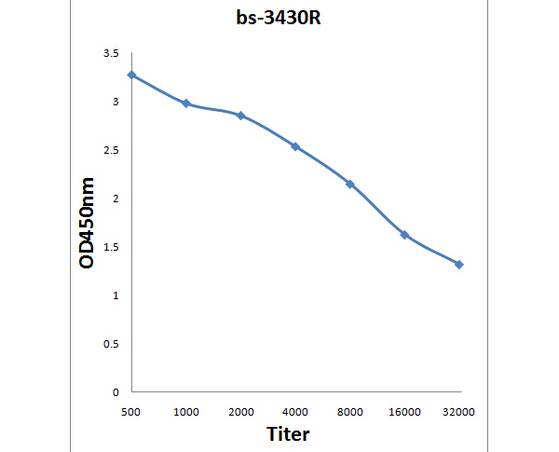 Antigen: bs-3430P, 0.2ug/100ul \nPrimary: Antiserum, 1:500, 1:1000, 1:2000, 1:4000, 1:8000, 1:16000, 1:32000; \nSecondary: HRP conjugated Goat-Anti-Rabbit IgG(bs-0295G-HRP) at 1: 5000;\nTMB staining;\nRead the data in MicroplateReader by 450
