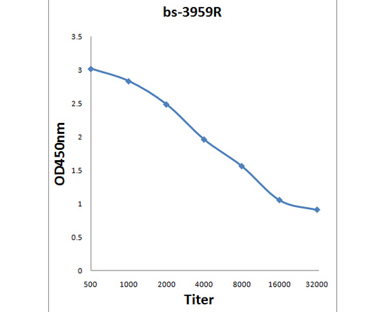 Antigen: bs-3959P, 0.2ug/100ul \nPrimary: Antiserum, 1:500, 1:1000, 1:2000, 1:4000, 1:8000, 1:16000, 1:32000; \nSecondary: HRP conjugated Goat-Anti-Rabbit IgG(bs-0295G-HRP) at 1: 5000;\nTMB staining;\nRead the data in MicroplateReader by 450