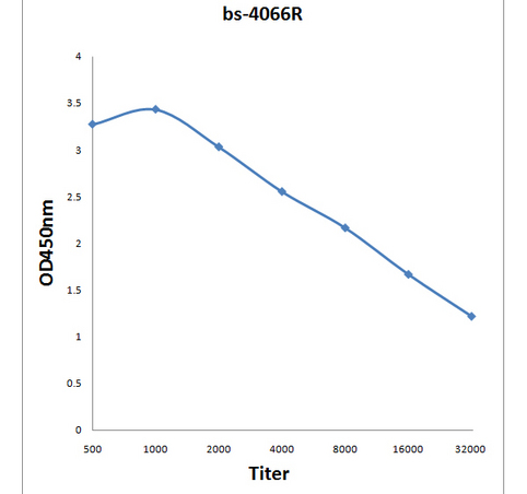 Antigen: bs-4066P, 0.2ug/100ul \nPrimary: Antiserum, 1:500, 1:1000, 1:2000, 1:4000, 1:8000, 1:16000, 1:32000; \nSecondary: HRP conjugated Goat-Anti-Rabbit IgG(bs-0295G-HRP) at 1: 5000;\nTMB staining;\nRead the data in MicroplateReader by 450