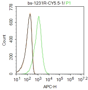 Molt4 cells(black) were fixed with 4% PFA for 10min at room temperature, permeabilized with PBST for 20 min at room temperature, and incubated in 5% BSA blocking buffer for 30 min at room temperature. Cells were then stained with ABCG1 Polyclonal Antibody, Cy5.5 Conjugated (bs-1231R-Cy5.5) at 1:50 dilution in blocking buffer and incubated for 30 min at room temperature, washed twice with 2%BSA in PBS. Acquisitions of 20,000 events were performed. Cells stained with primary antibody (green) and isotype control (orange).