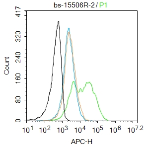 U-937 cells(black) were incubated in 5% BSA blocking buffer for 30 min at room temperature. Cells were then stained with TRPV6 Polyclonal Antibody(bs-bs-15506R)at 1:50 dilution in blocking buffer and incubated for 30 min at room temperature, washed twice with 2%BSA in PBS, followed by secondary antibody(blue) incubation for 40 min at room temperature. Acquisitions of 20,000 events were performed. Cells stained with primary antibody (green), and isotype control (orange).