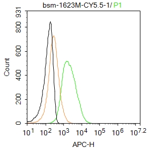 U2OS cells(black) were incubated in 5% BSA blocking buffer for 30 min at room temperature. Cells were then stained with CEA(C3) Monoclonal Antibody, Cy5.5 Conjugated (bs-1623M-Cy5.5) at 1:50 dilution in blocking buffer and incubated for 30 min at room temperature, washed twice with 2%BSA in PBS. Acquisitions of 20,000 events were performed. Cells stained with primary antibody (green) and isotype control (orange).