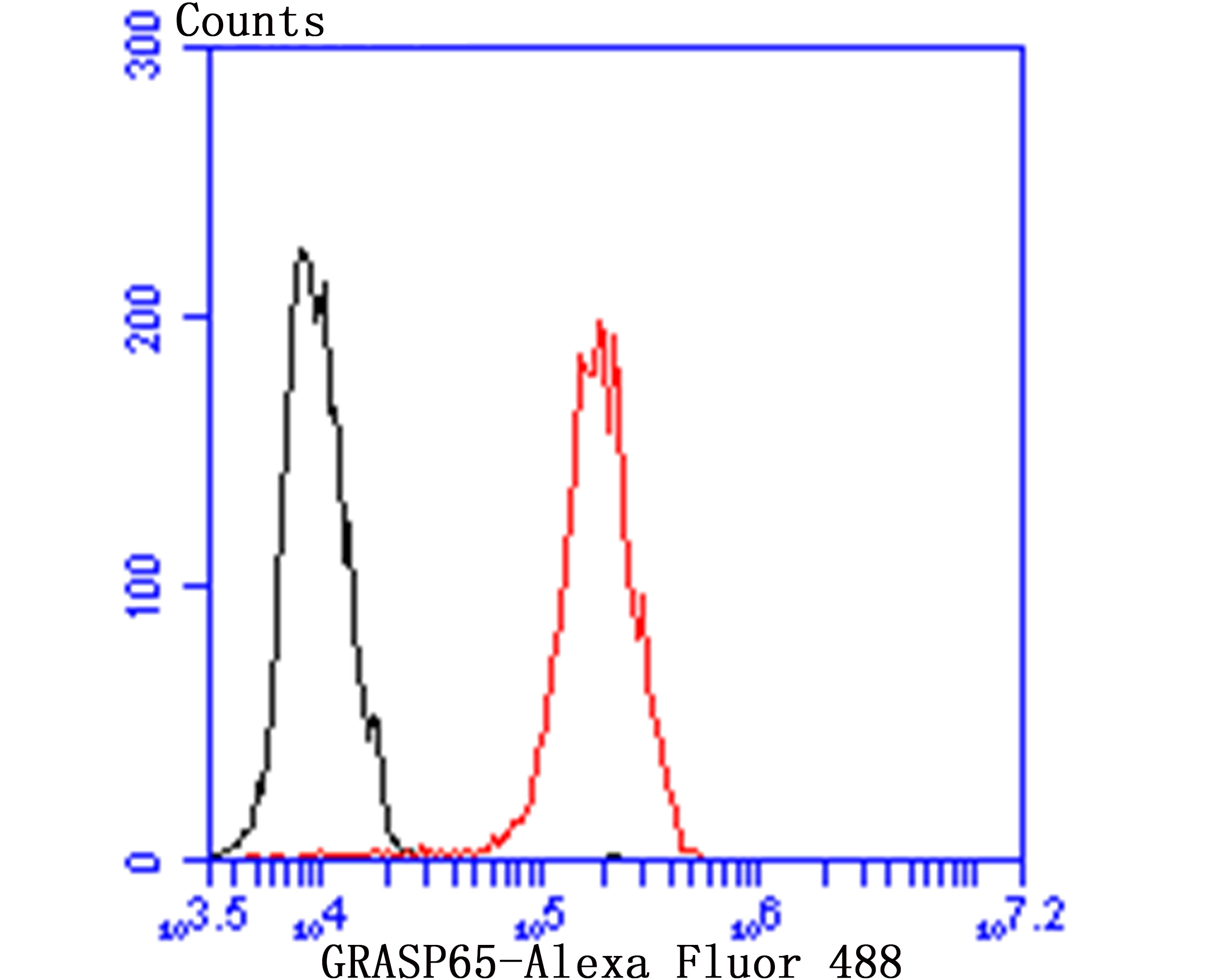 Flow cytometric analysis of MCF-7 cells with GORASP1 (3G1) Monoclonal Antibody (bsm-54260R) at a 1:50 dilution (red) compared with an unlabeled control (cells without incubation with primary antibody; black). Flow cytometric analysis of MCF-7 cells with GORASP1 (3G1) Monoclonal Antibody (bsm-54260R) at a 1:50 dilution (red) compared with an unlabeled control (cells without incubation with primary antibody; black).