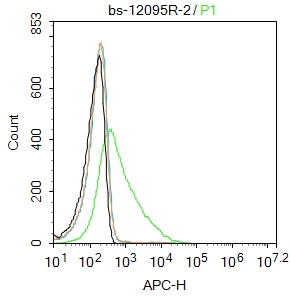K562 cells(black) were incubated in 5% BSA blocking buffer for 30 min at room temperature. Cells were then stained with GRID1 Polyclonal Antibody(bs-12095R)at 1:50 dilution in blocking buffer and incubated for 30 min at room temperature, washed twice with 2%BSA in PBS, followed by secondary antibody(blue) incubation for 40 min at room temperature. Acquisitions of 20,000 events were performed. Cells stained with primary antibody (green), and isotype control (orange).