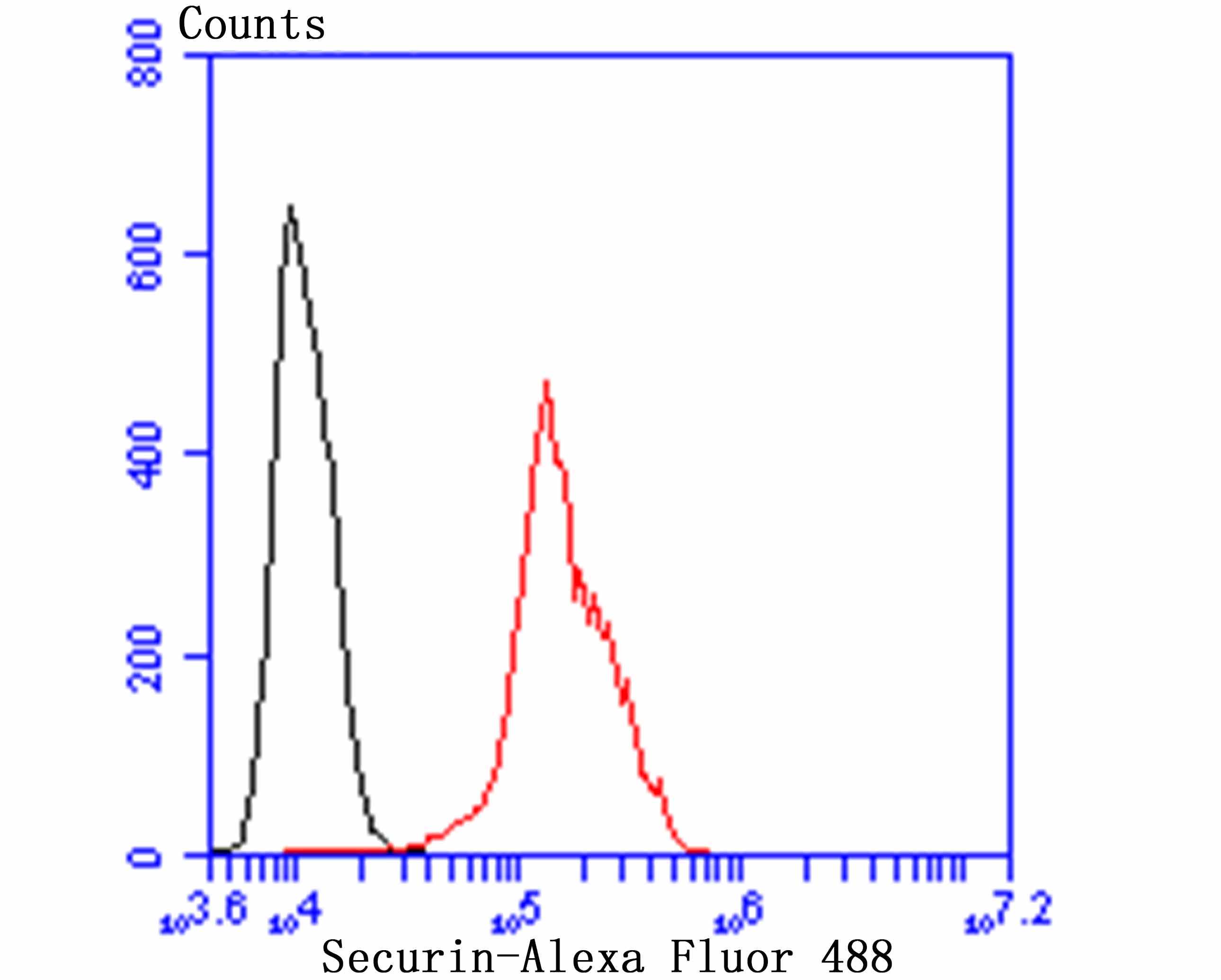 Flow cytometric analysis of A431 cells with Securin (1F10) Monoclonal Antibody (bsm-54295R) at a 1:100 dilution (red) compared with an unlabeled control (cells without incubation with primary antibody; black).