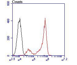 Flow cytometric analysis of Daudi cells with PSMB8 (4A4) Monoclonal Antibody (bsm-54282R) at a 1:100 dilution (red) compared with an unlabeled control (cells without incubation with primary antibody; black).