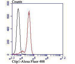 Flow cytometric analysis of Jurkat cells with BCL11A (4A11) Monoclonal Antibody (bsm-54284R) at a 1:100 dilution (red) compared with an unlabeled control (cells without incubation with primary antibody; black).