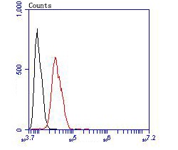 Flow cytometric analysis of SH-SY5Y cells with SMARCB1 (7G8) Monoclonal Antibody (bsm-54327R) at a 1:100 dilution (red) compared with an unlabeled control (cells without incubation with primary antibody; black).