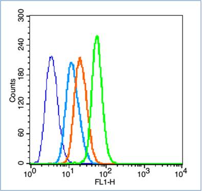 Human HL60 Cells were fixed with 2% PFA (10min at room temperature) and then permeabilized with 0.1% PBS-Tween for 20 min at room temperature. The cells were then incubated in 1 X PBS / 2% BSA / 10% goat serum to block non-specific protein-protein interactions for 15 min at room temperature. Cells were stained with CD4 Polyclonal Antibody Unconjugated (bs-0647R; green) at 1:100 for 30 min at room temperature. The secondary antibody, Goat anti-rabbit IgG-FITC (bs-0295G-FITC), was used for 40 min at room temperature. Primary antibody staining is compared to unstained cells (dark blue), secondary only (light blue), and isotype control (bs-0295P; orange).