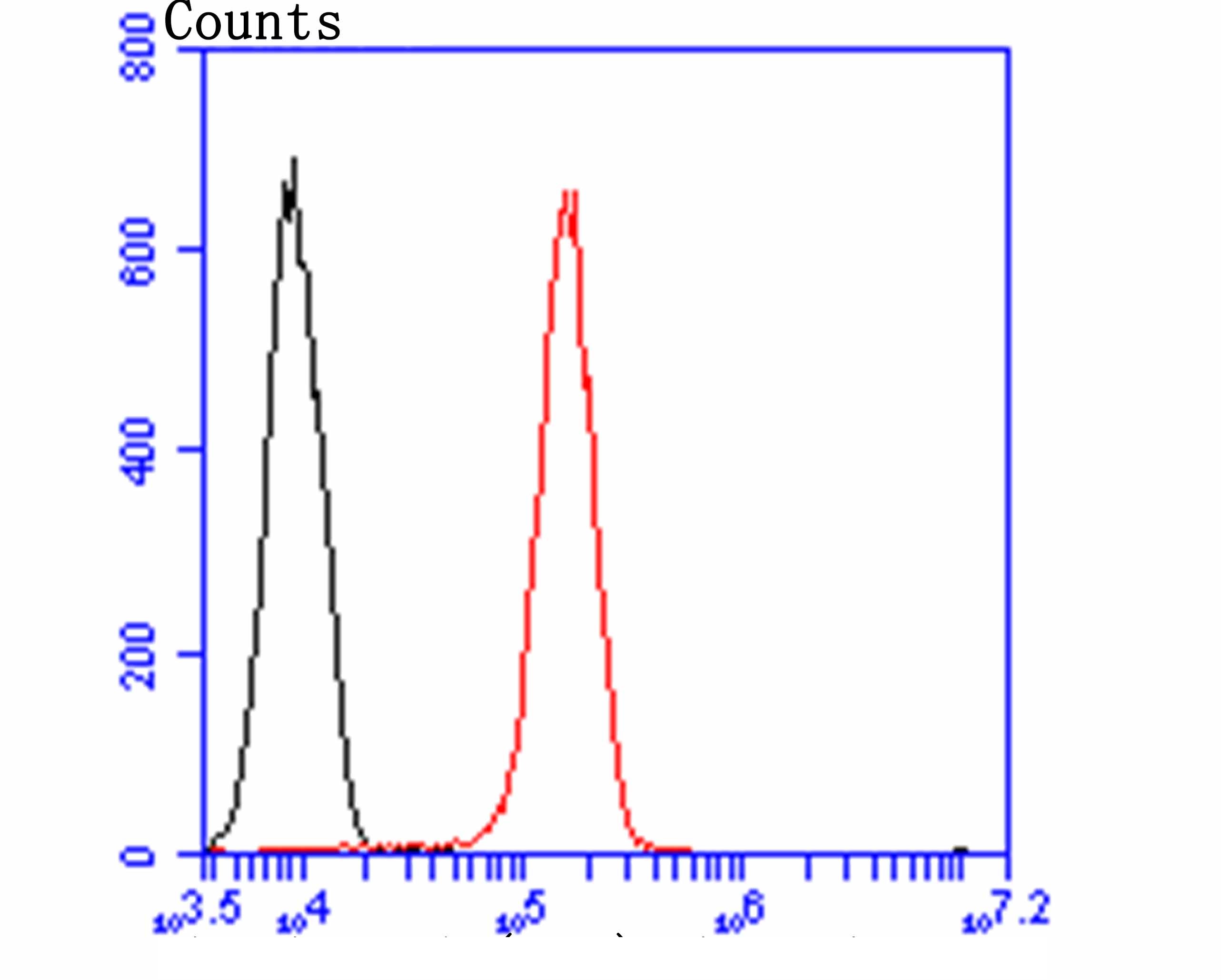Flow cytometric analysis of HUVEC cells with CREB1 (Ser133) (5F2) Monoclonal Antibody (bsm-54334R) at a 1:100 dilution (red) compared with an unlabeled control (cells without incubation with primary antibody; black).