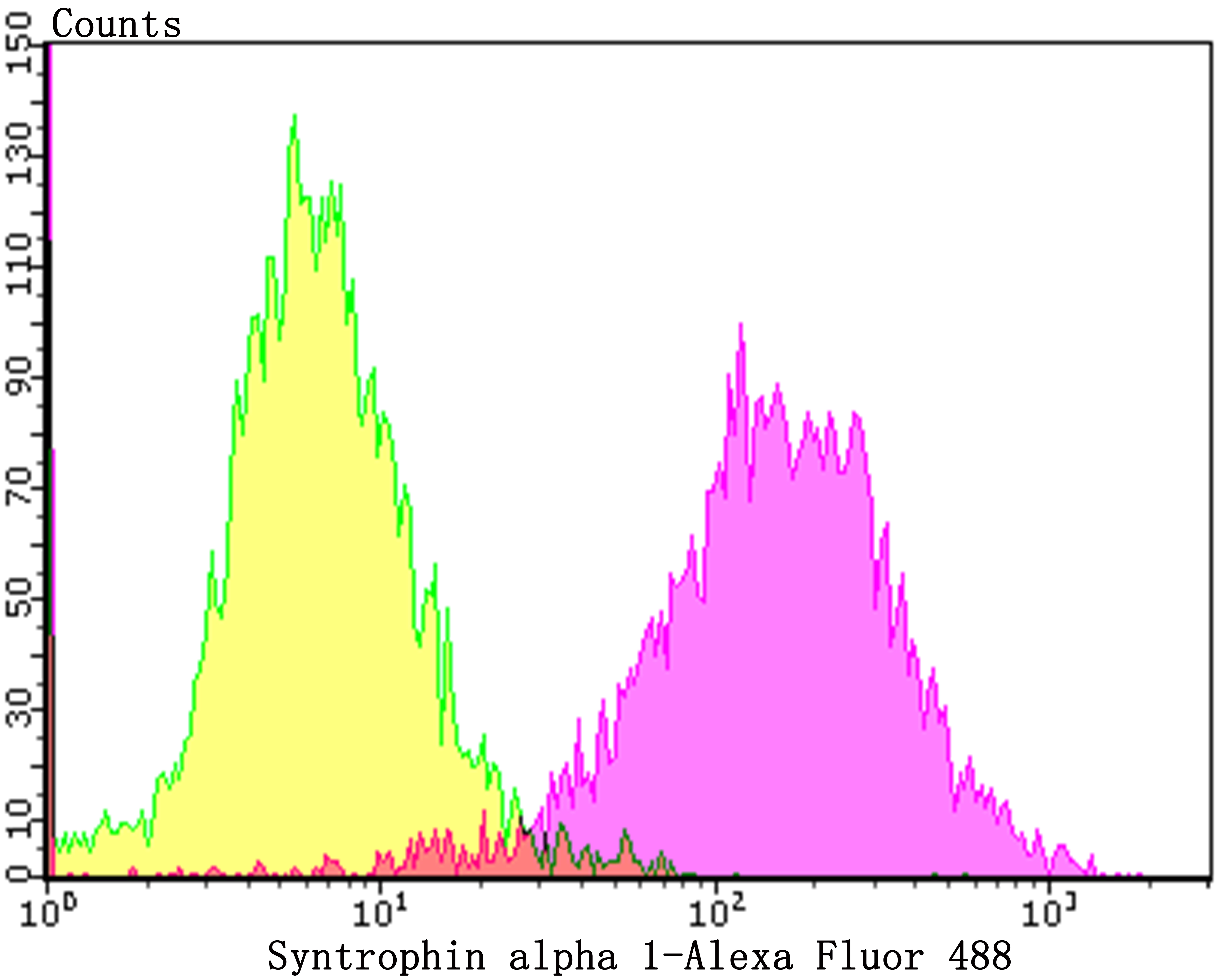 Flow cytometric analysis of LOVO cells with Syntrophin alpha 1 (2A1) Monoclonal Antibody (bsm-54351R) at a 1:100 dilution (purple) compared with an unlabeled control (cells without incubation with primary antibody; yellow).