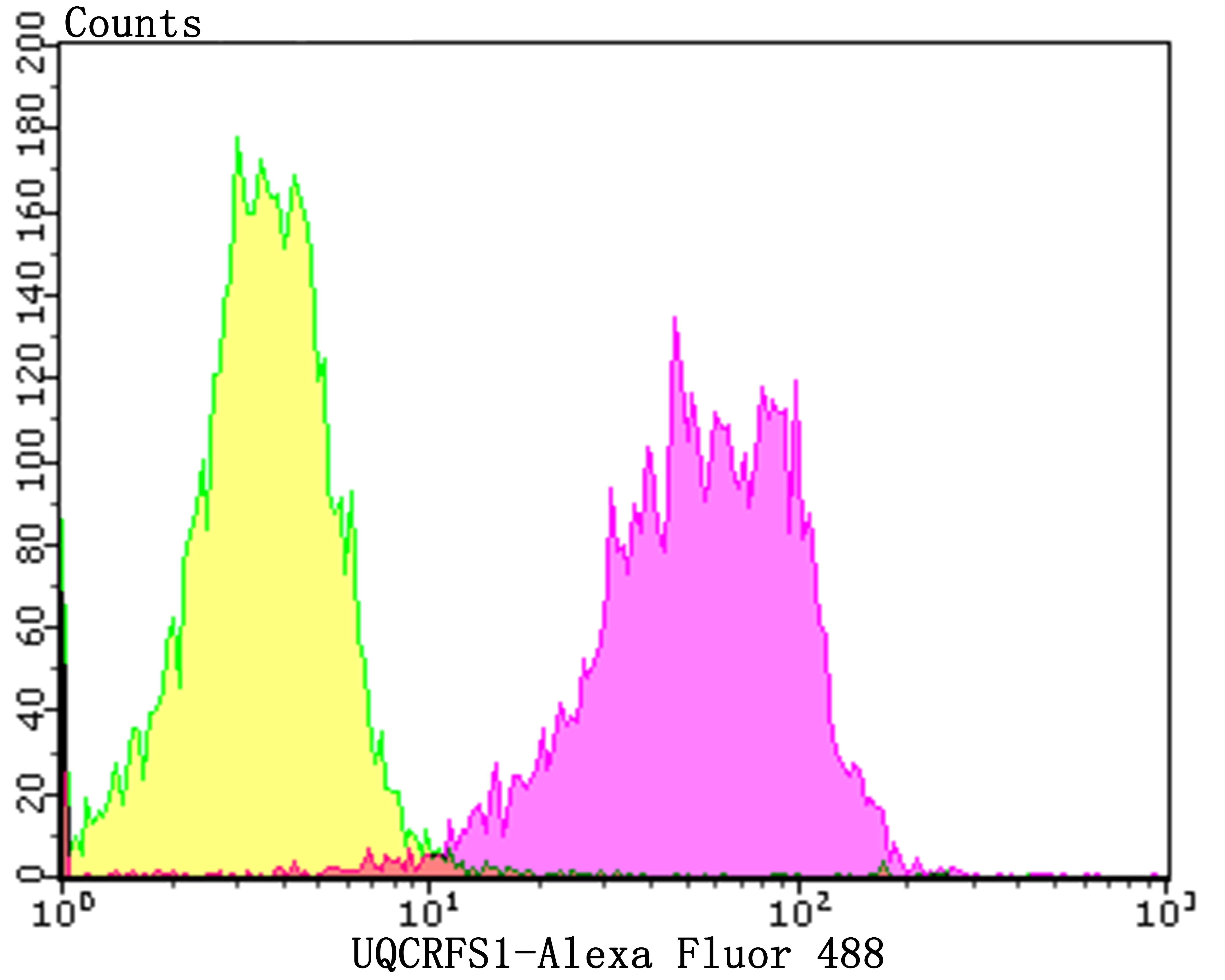 Flow cytometric analysis of A549 cells with UQCRFS1 (10C1) Monoclonal Antibody (bsm-54363R) at a 1:100 dilution (purple) compared with an unlabeled control (cells without incubation with primary antibody; yellow).