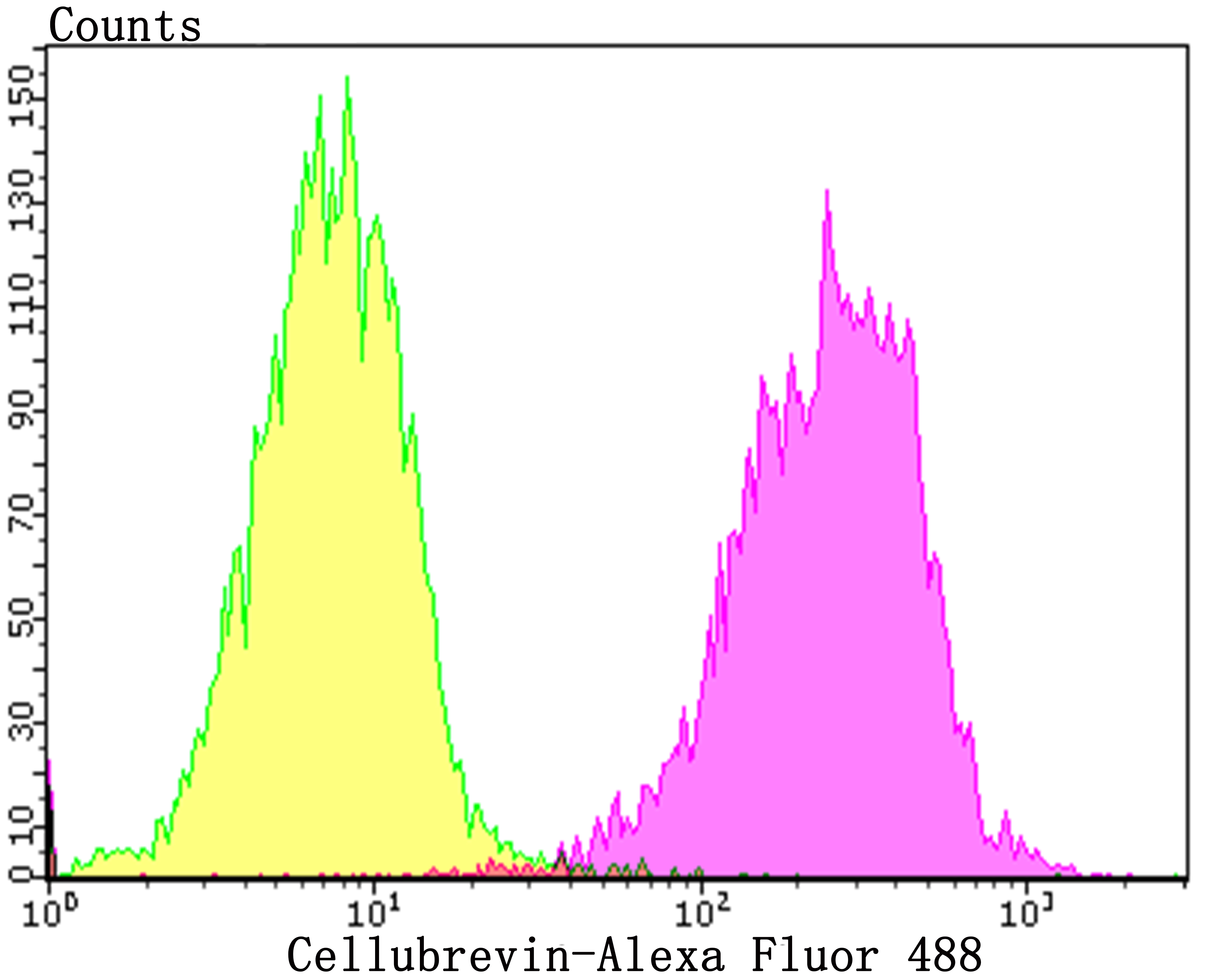 Flow cytometric analysis of SiHa cells with VAMP3 (8A3) Monoclonal Antibody (bsm-54366R) at a 1:100 dilution (purple) compared with an unlabeled control (cells without incubation with primary antibody; yellow).