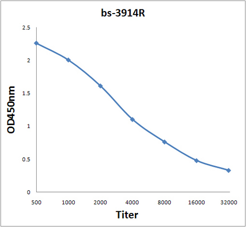 Antigen: bs-3914P, 0.2ug/100ul \nPrimary: Antiserum, 1:500, 1:1000, 1:2000, 1:4000, 1:8000, 1:16000, 1:32000; \nSecondary: HRP conjugated Goat-Anti-Rabbit IgG(bs-0295G-HRP) at 1: 5000;\nTMB staining;\nRead the data in MicroplateReader by 450