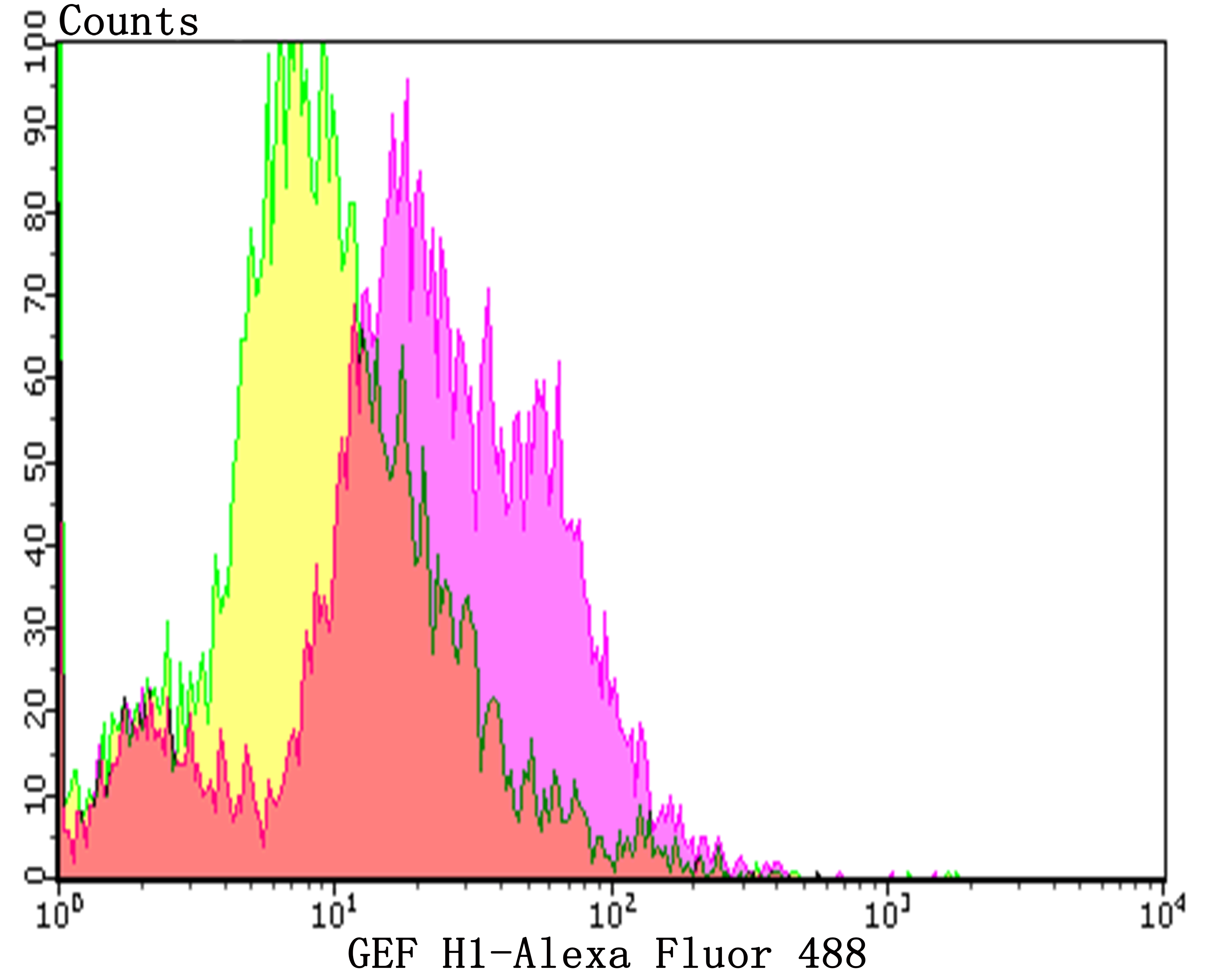 Flow cytometric analysis of HL-60 cells with ARHGEF2 (9D4) Monoclonal Antibody (bsm-54369R) at a 1:100 dilution (purple) compared with an unlabeled control (cells without incubation with primary antibody; yellow).
