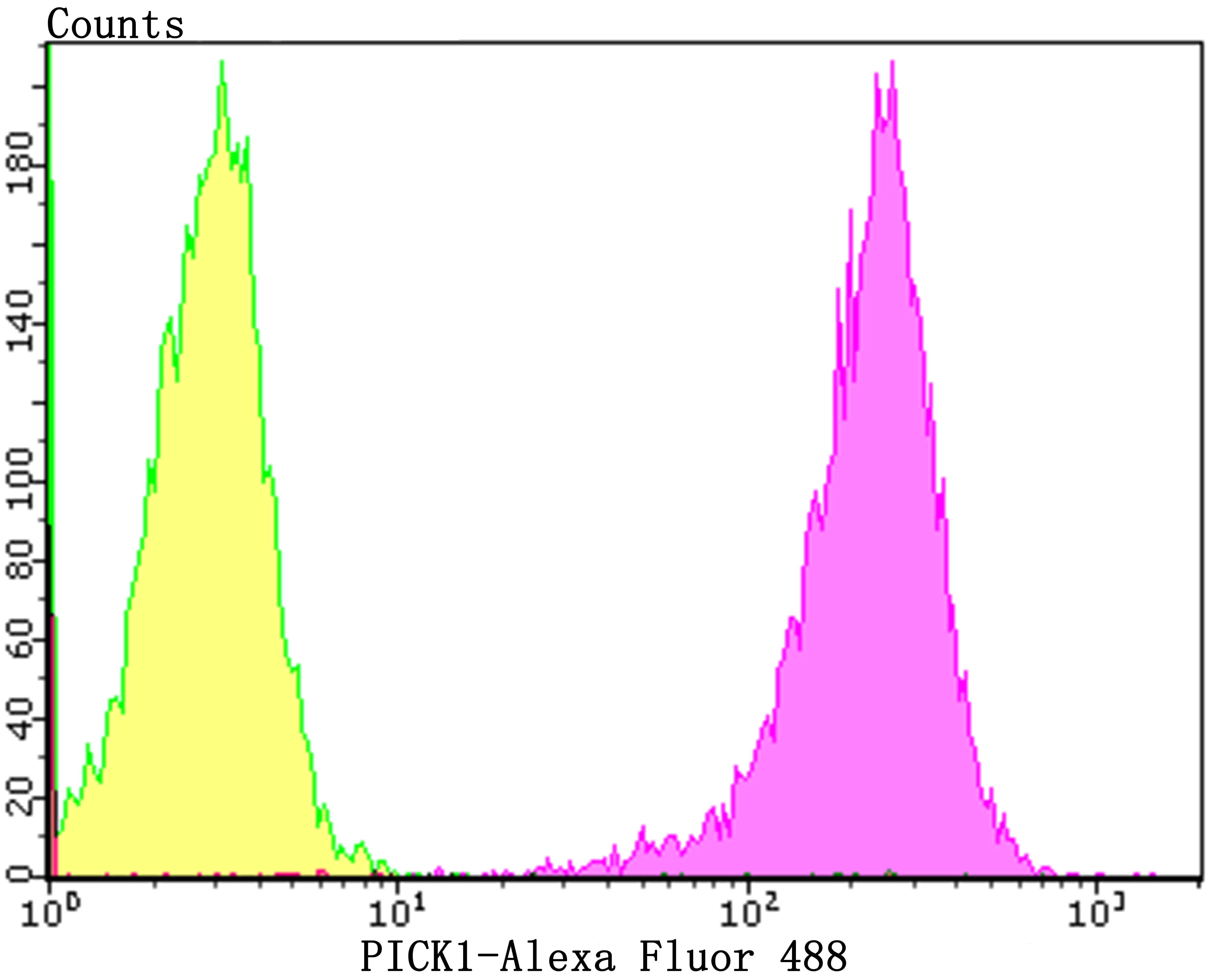 Flow cytometric analysis of 293T cells with PICK1 (4G1) Monoclonal Antibody (bsm-54393R) at a 1:100 dilution (purple) compared with an unlabeled control (cells without incubation with primary antibody; yellow).