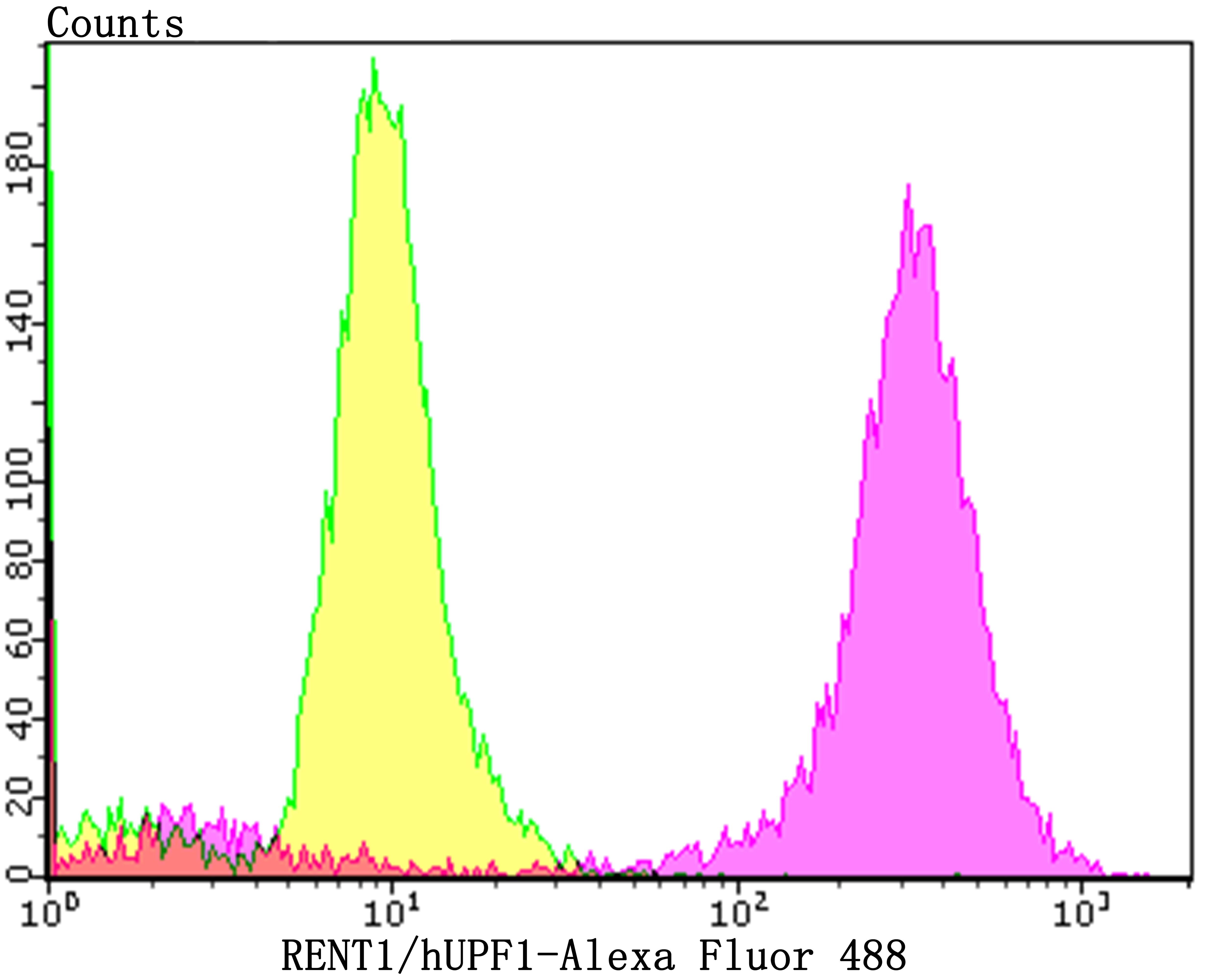 Flow cytometric analysis of PC-3M cells with UPF1 (9A3) Monoclonal Antibody (bsm-54402R) at a 1:100 dilution (purple) compared with an unlabeled control (cells without incubation with primary antibody; yellow).