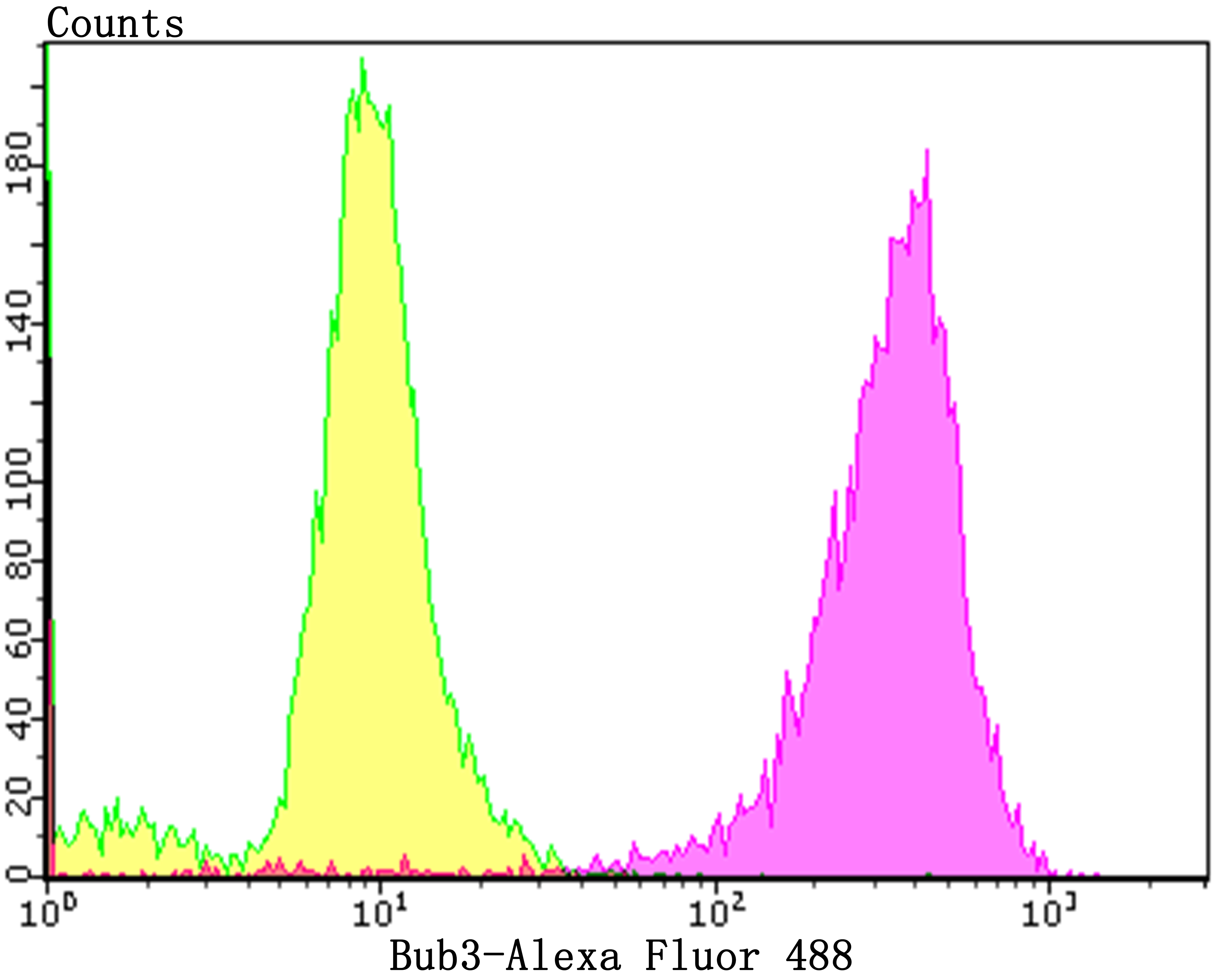 Flow cytometric analysis of PC-3M cells with BUB3 (24D1) Monoclonal Antibody (bsm-54413R) at a 1:100 dilution (purple) compared with an unlabeled control (cells without incubation with primary antibody; yellow).