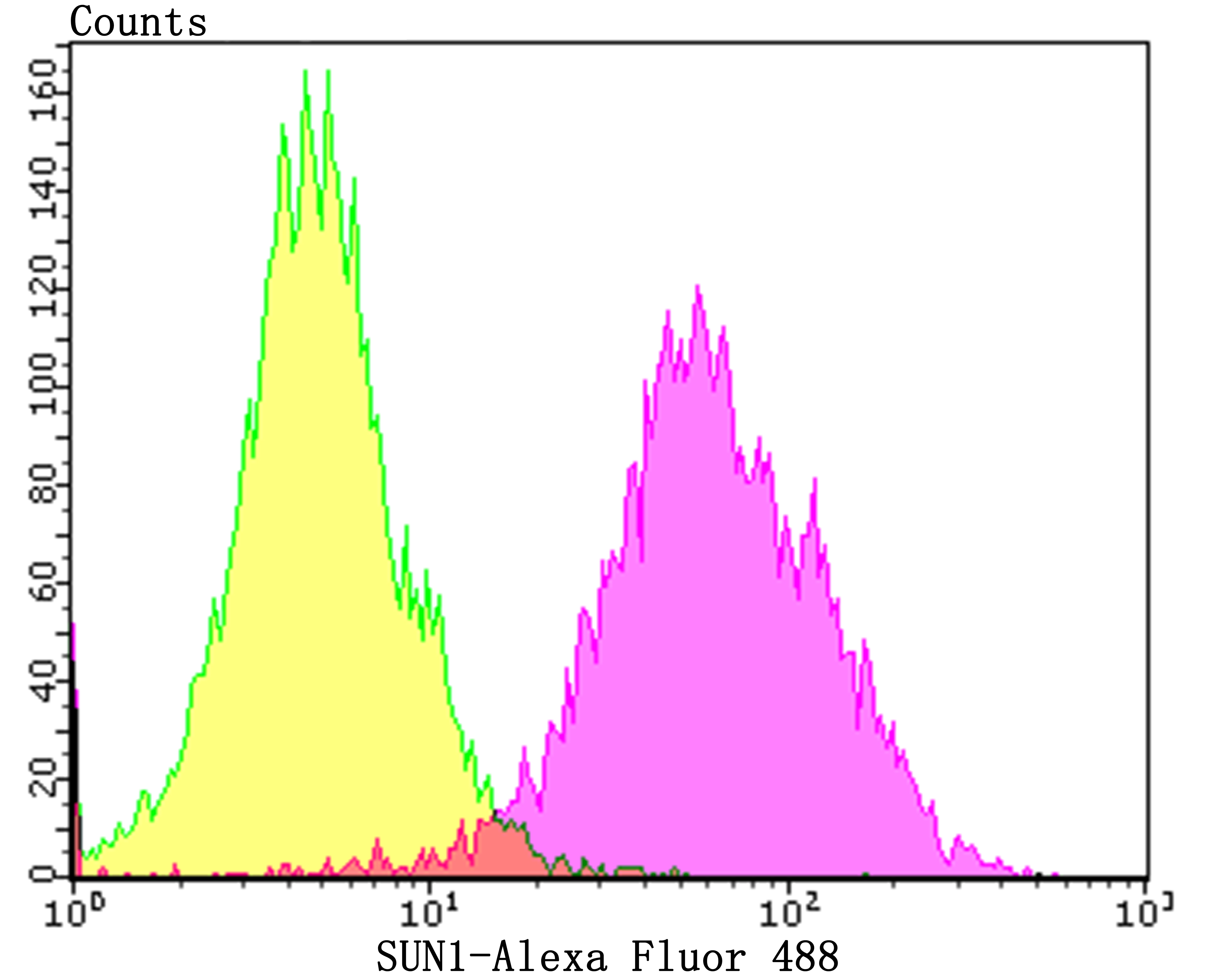 Flow cytometric analysis of SH-SY5Y cells with SUN1 (2C4) Monoclonal Antibody (bsm-54420R) at a 1:100 dilution (purple) compared with an unlabeled control (cells without incubation with primary antibody; yellow).