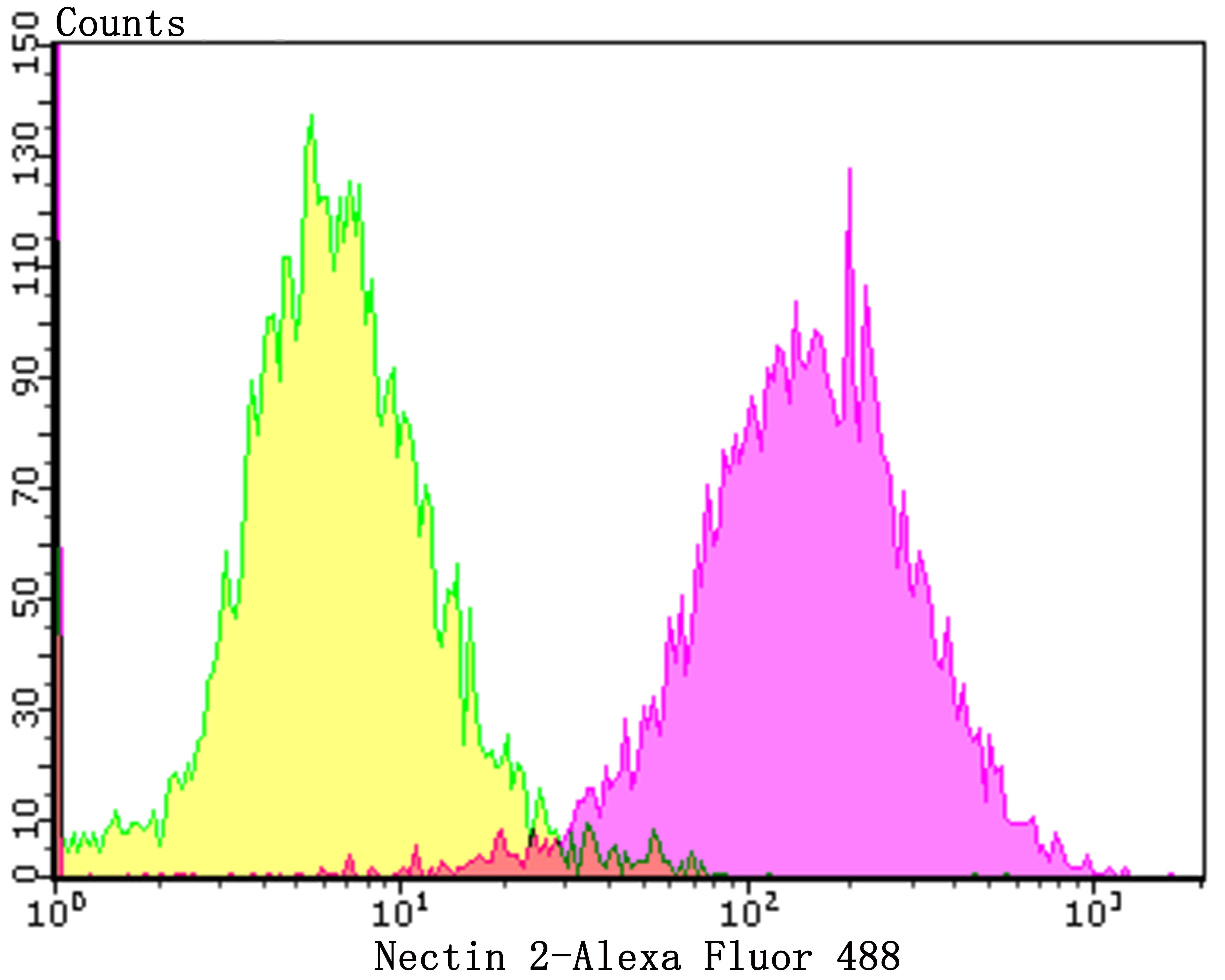 Flow cytometric analysis of LOVO cells with Nectin 2 (3G7) Monoclonal Antibody (bsm-54423R) at a 1:100 dilution (purple) compared with an unlabeled control (cells without incubation with primary antibody; yellow).