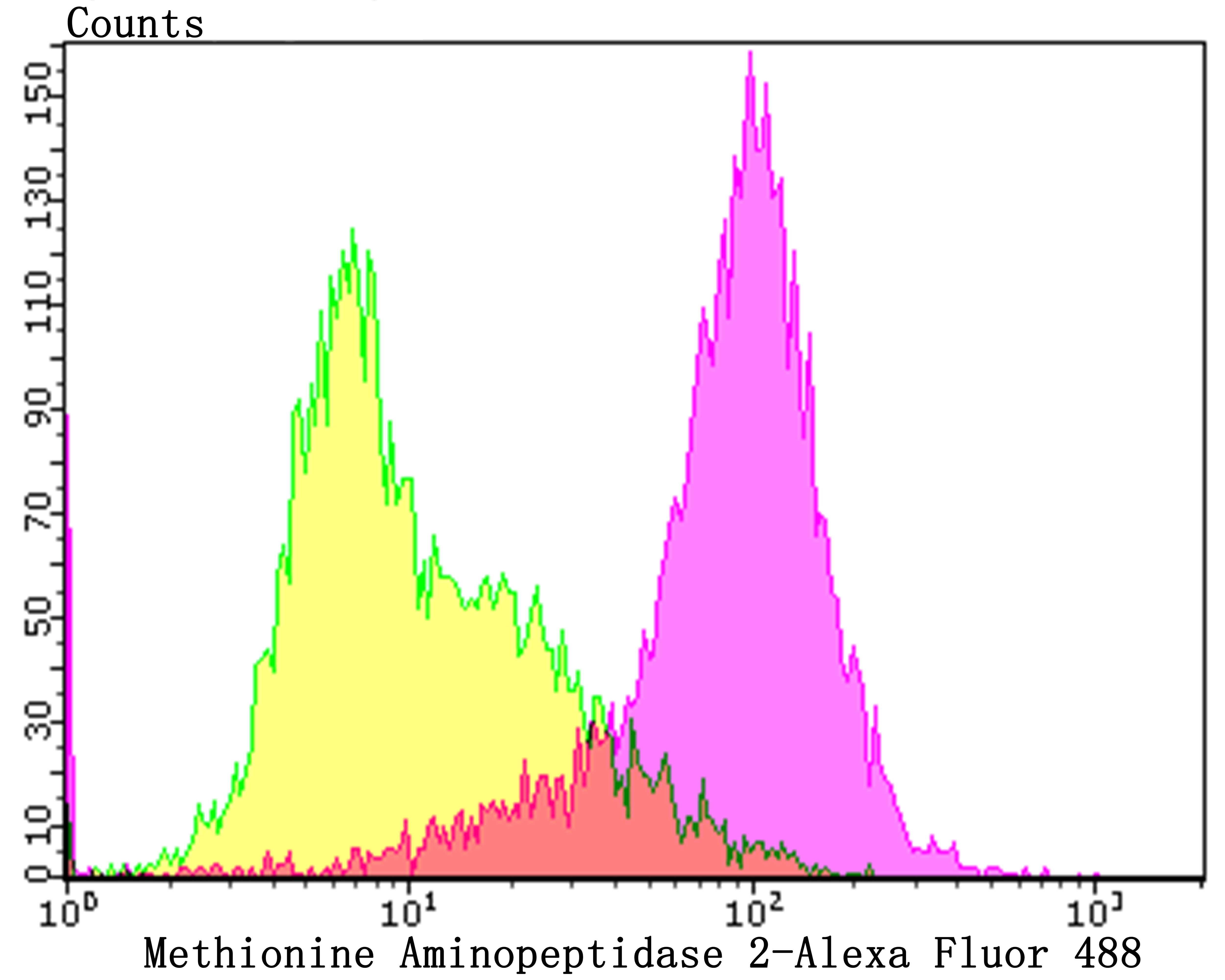 Flow cytometric analysis of Daudi cells with Methionine Aminopeptidase 2 (2G3) Monoclonal Antibody (bsm-54425R) at a 1:100 dilution (purple) compared with an unlabeled control (cells without incubation with primary antibody; yellow).