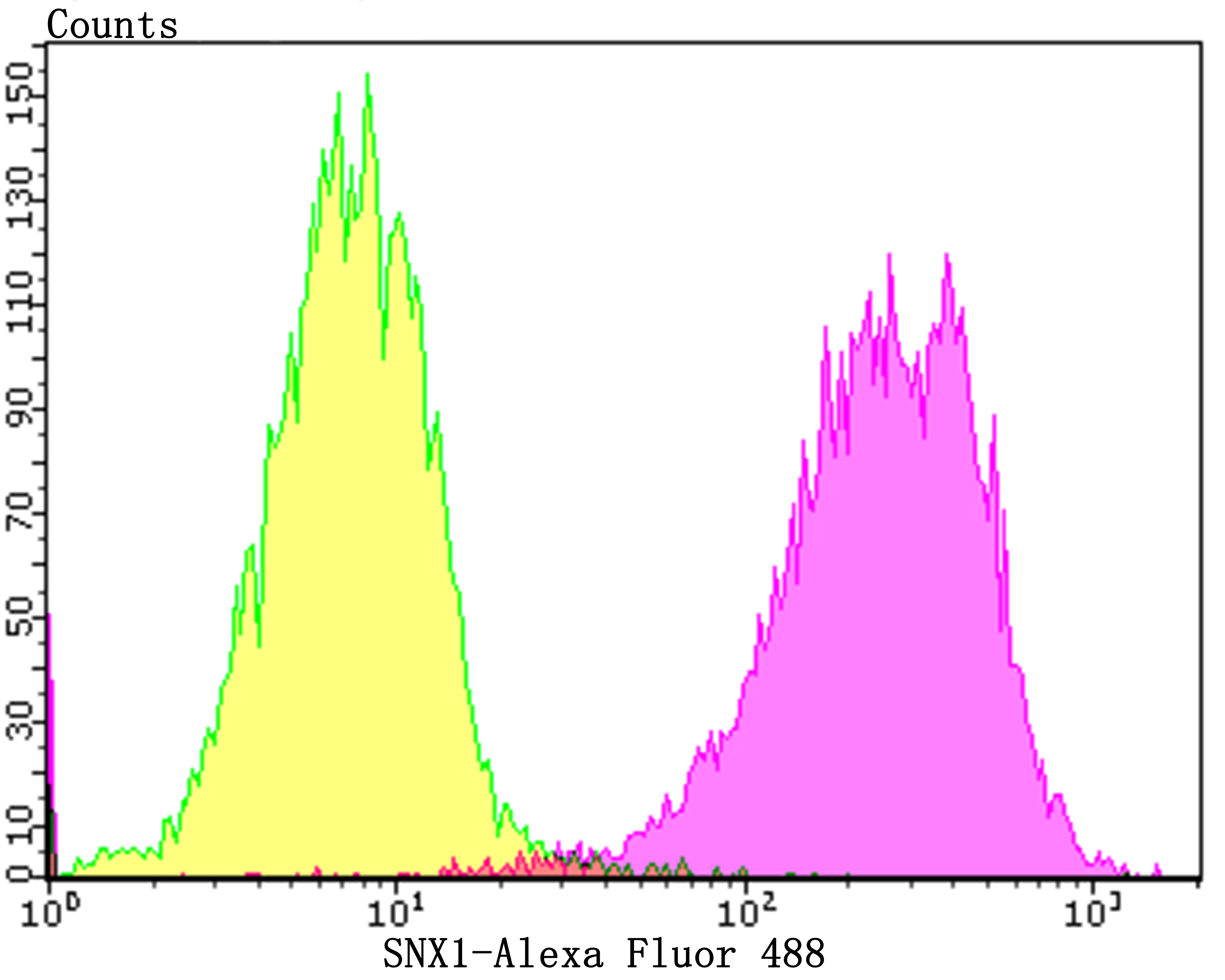 Flow cytometric analysis of SiHa cells with SNX1 (4C2) Monoclonal Antibody (bsm-54429R) at a 1:100 dilution (purple) compared with an unlabeled control (cells without incubation with primary antibody; yellow).