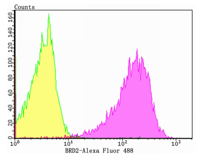 Flow cytometric analysis of 293T cells with BRD2 (6B5) Monoclonal Antibody (bsm-54434R) at a 1:100 dilution (purple) compared with an unlabeled control (cells without incubation with primary antibody; yellow).