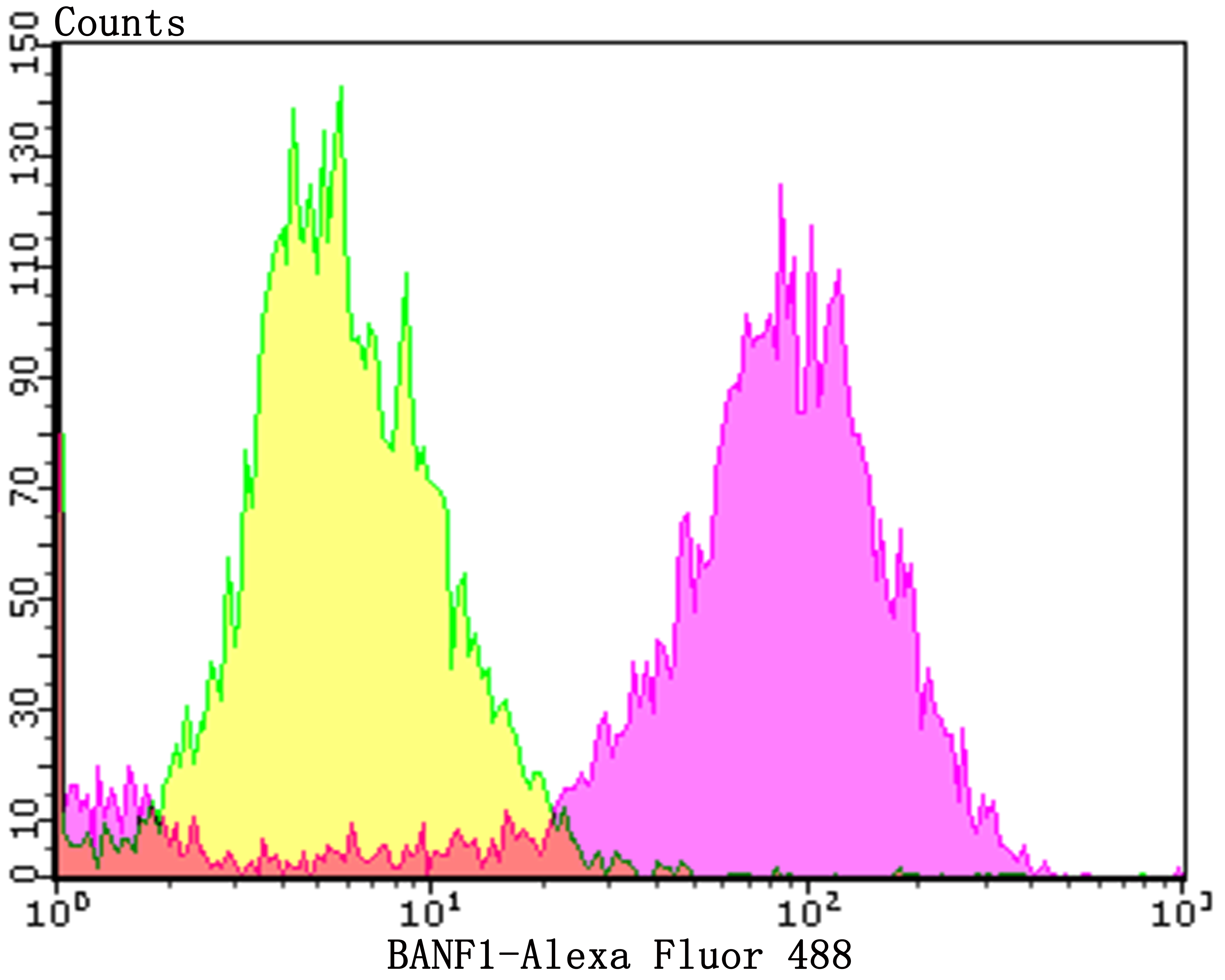 Flow cytometric analysis of MCF-7 cells with BANF1 (11H3) Monoclonal Antibody (bsm-54435R) at a 1:100 dilution (purple) compared with an unlabeled control (cells without incubation with primary antibody; yellow). Flow cytometric analysis of MCF-7 cells with BANF1 (11H3) Monoclonal Antibody (bsm-54435R) at a 1:100 dilution (purple) compared with an unlabeled control (cells without incubation with primary antibody; yellow).