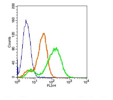 RSC96 cells probed with DAT/Dopamine transporter Polyclonal Antibody, PE-Conjugated (bs-1714R-PE; green) at 1:33 for 30 minutes, compared to isotype control (bs-0295P-PE; orange) and non-stained cells (blue).