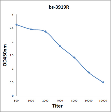 Antigen: bs-3919P, 0.2ug/100ul \nPrimary: Antiserum, 1:500, 1:1000, 1:2000, 1:4000, 1:8000, 1:16000, 1:32000; \nSecondary: HRP conjugated Goat Anti-Rabbit IgG(bs-0295G-HRP) at 1: 5000; \nTMB staining; Read the data in Microplate Reader by 450nm\n