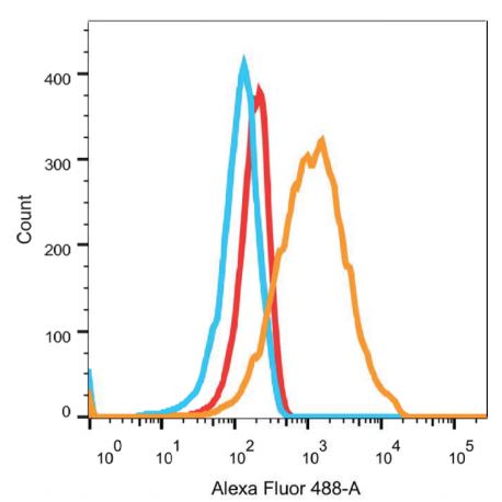 Flow cytometric analysis of 293T cells transfected with FLAG-PQBP1 with DYKDDDDK (10A2) Monoclonal Antibody (bsm-58004R) at a 1:100 dilution followed by secondary antibody incubation (orange), compared to primary antibody only without secondary antibody (blue), and secondary antibody only staining (red).