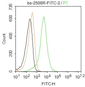 U-937 cells(black) were incubated in 5% BSA blocking buffer for 30 min at room temperature. Cells were then stained with CD11b/c Polyclonal Antibody(bs-2508R-FITC) at 1:50 dilution in blocking buffer and incubated for 30 min at room temperature, washed twice with 2%BSA in PBS. Acquisitions of 20,000 events were performed. Cells stained with primary antibody (green) and isotype control (orange). U-937 cells(black) were incubated in 5% BSA blocking buffer for 30 min at room temperature. Cells were then stained with CD11b/c Polyclonal Antibody(bs-2508R-FITC) at 1:50 dilution in blocking buffer and incubated for 30 min at room temperature, washed twice with 2%BSA in PBS. Acquisitions of 20,000 events were performed. Cells stained with primary antibody (green) and isotype control (orange).